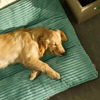 Dogs Beds Dog Halloween Sofa Warm Pet Winter Mat Christmas Medium Beds Dogs Bedding Puppy